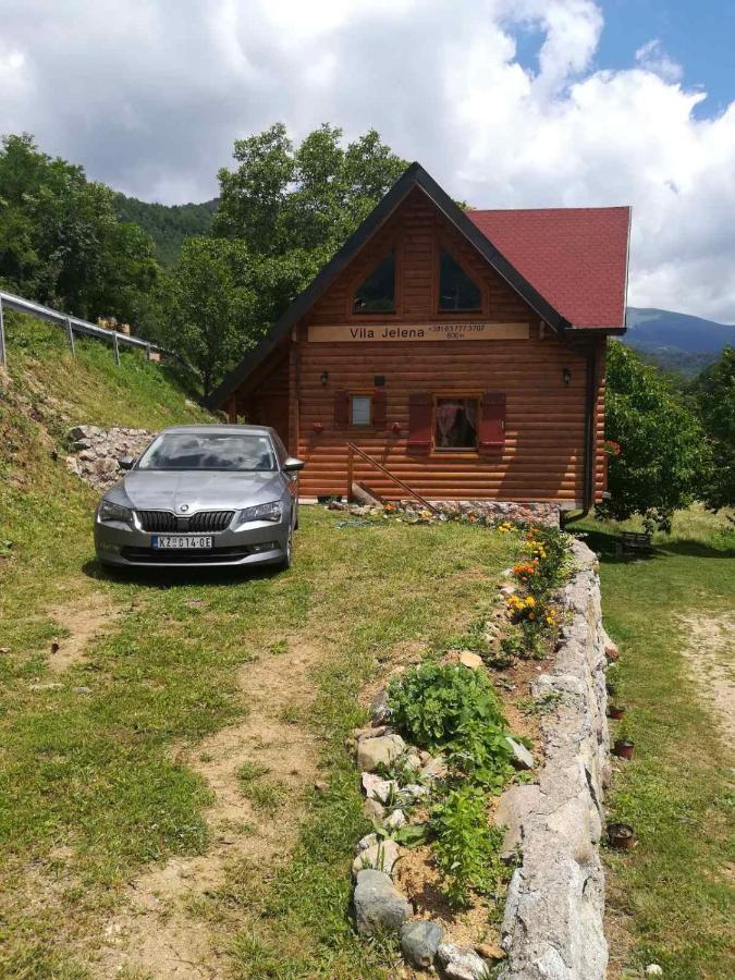 Vila Jelena Crni Vrh Extérieur photo