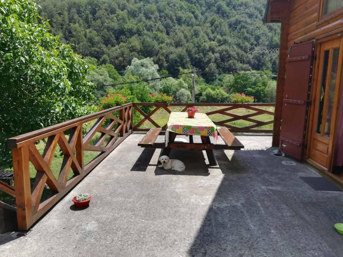 Vila Jelena Crni Vrh Extérieur photo