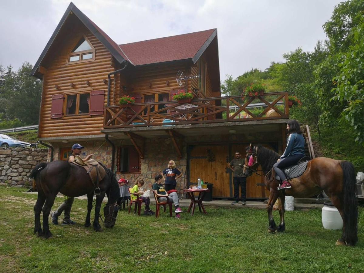 Vila Jelena Crni Vrh Extérieur photo