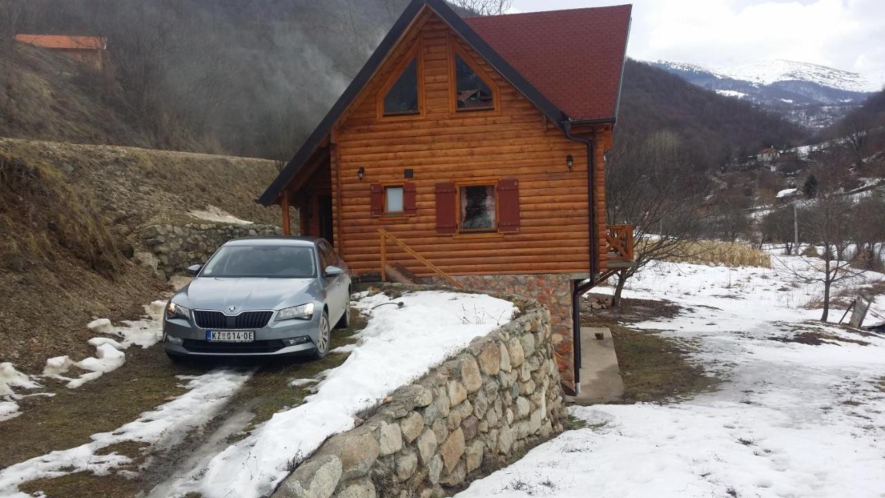 Vila Jelena Crni Vrh Extérieur photo