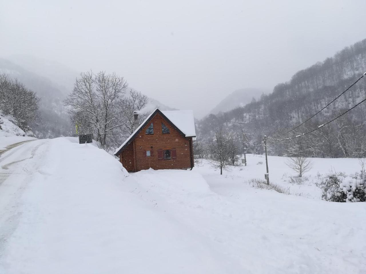 Vila Jelena Crni Vrh Extérieur photo