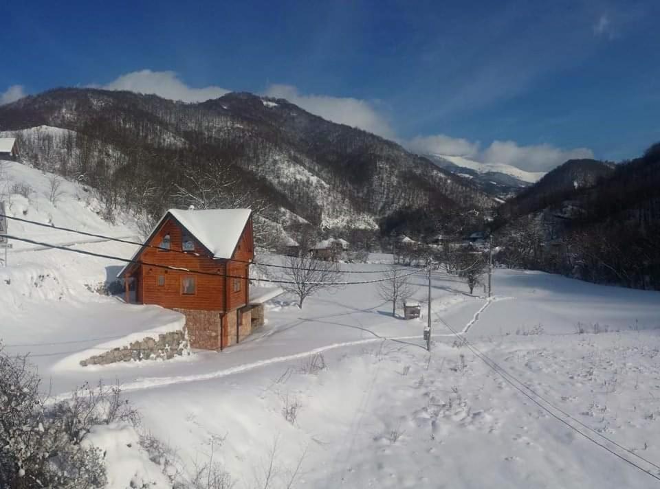 Vila Jelena Crni Vrh Extérieur photo
