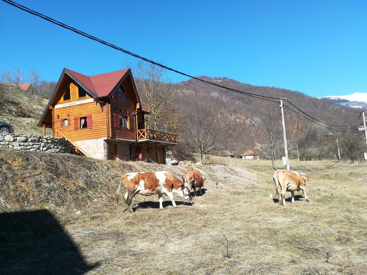 Vila Jelena Crni Vrh Extérieur photo
